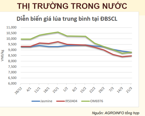 gạo trong nước_1711428887.PNG